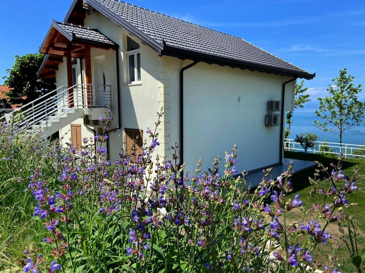 Xhuli Guesthouse Shkodra Exterior foto