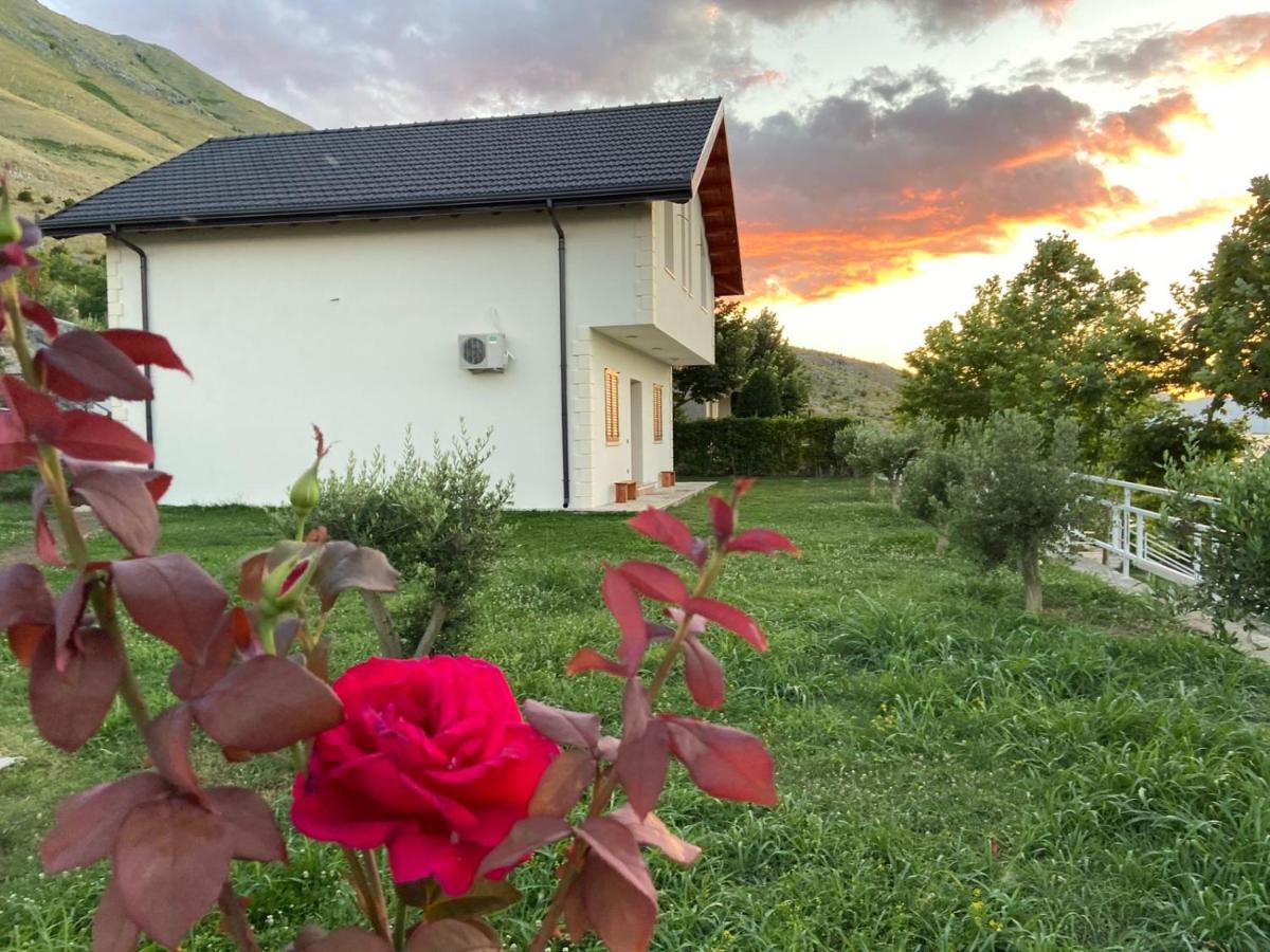 Xhuli Guesthouse Shkodra Exterior foto