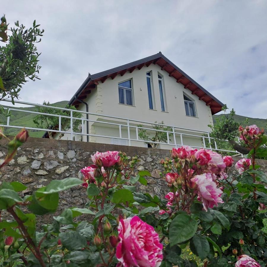 Xhuli Guesthouse Shkodra Exterior foto